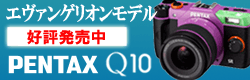 �y���^�b�N�XQ10 �G���@���Q���I�����f��