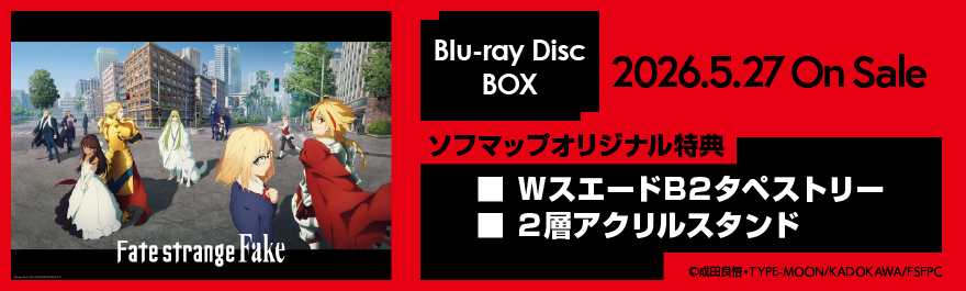 Fate / Strange Fake